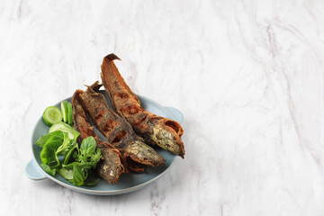 Lele Goreng or Fried Catfish is Traditional Indonesian Culinary Food. Popular Street Food Called Pecel Lele Lamongan or Penyetan Lele