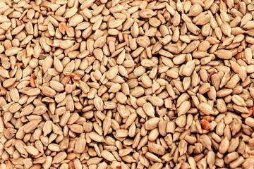 Sunflower seeds raw background 