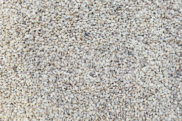 Makhachkala, Russia - October, 2021: hemp seeds are sold in the food market in the city Makhachkala of Republic of Dagestan.