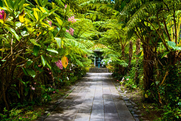 Botanical garden La Maison Folio, Salazie, Reunion Island - obrazy, fototapety, plakaty