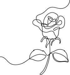 Rose one line drawing vector