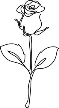 Rose one line drawing vector