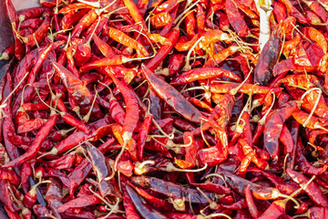 Fototapeta premium A pile of delicious dried red chili peppers under the sunlight with selective focus