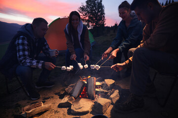Group of friends roasting marshmallows on bonfire at camping site in evening