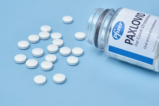 Tashkent, Uzbekistan - November 9, 2021: New Paxlovid Pill For COVID. Oral antiviral Paxlovid pills reduces COVID-19 risks. Pfizers paxlovid lowers COVID hospitalization and death