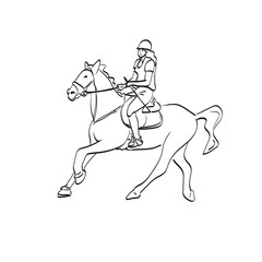 Fototapeta na wymiar line art female dressage rider on bay horse illustration vector isolated on white background