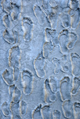 footprints on concrete cement surface