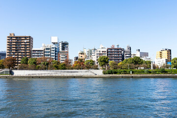 東京隅田川　川沿いの風景