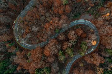 Eycatching drone view at a s-curve in the fall season with light trails of driving cars at the bending road.