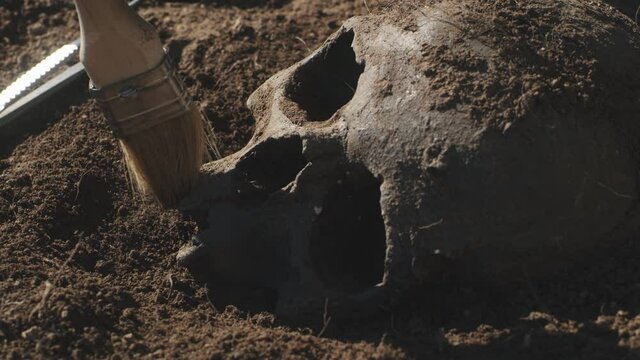 Anonymous archaeologist removing soil from human skull