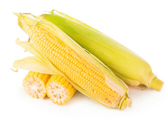 Corn cobs on white background. raw corn with green leaves on a white background