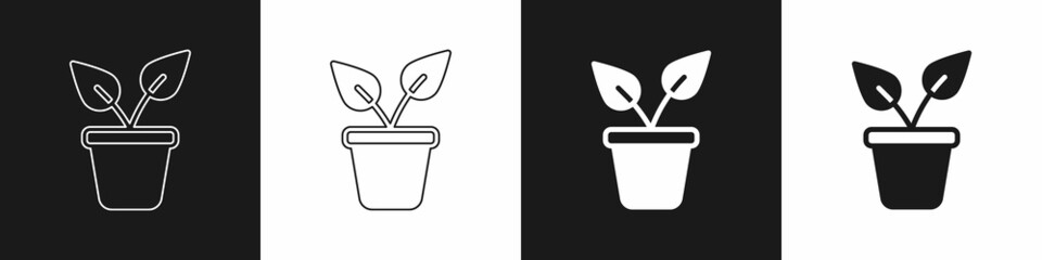 Set Plant in pot icon isolated on black and white background. Plant growing in a pot. Potted plant sign. Vector