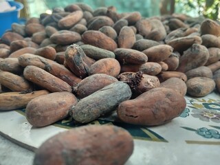 Cocoa nibs on a table
