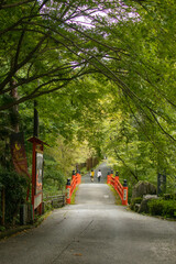 Tow ladies are walking over the vermillion bridge and through a green forest to the temple.