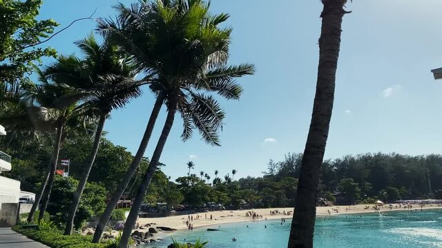 Branches of palm trees are developed by strong wind. Dense greenery of coconut palms moves against the background of blue sky. Shore of the island. Yachts and boats can be seen on blue water of sea
