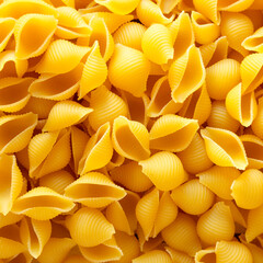 Raw Medium Pasta Shells, top view.  Flat lay, overhead, from above. Close-up.