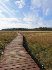 A winding wooden deck over a swamp with yellowed grass, going to the forest, against a beautiful sky with clouds.