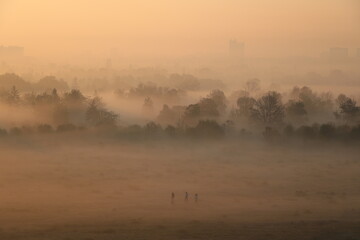 Three people walk through the foggy field early in the morning