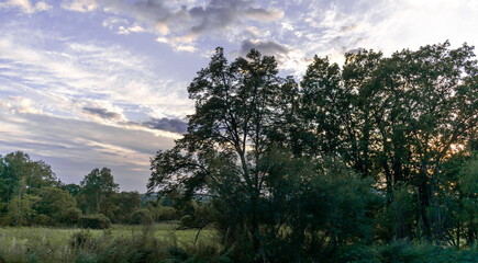 Sunset road. Car travel concept. Nice view from the window.