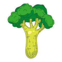 Broccoli vegetables hand drawing colorful doodle icon, organic farm product. Vector sketch illustration vintage, retro engraving style