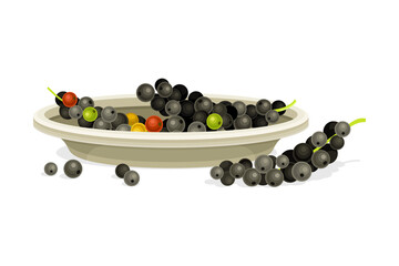 Fresh black peppercorns in ceramic bowl. Organic herbal seasoning vector illustration