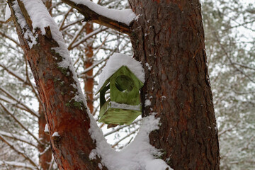 Wooden bird feeder in winter on a tree trunk
