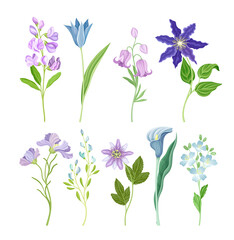 Blue and Purple Flower or Delicate Blossom on Leafy Stem Vector Set