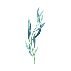 Eucalyptus plant with blue leaves, trendy color floral design element vector illustration