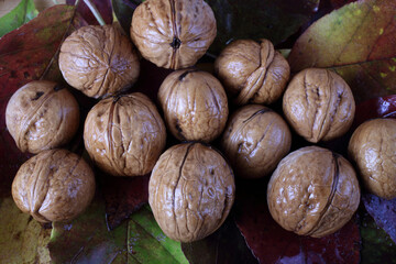 Walnuts on table