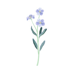 Beautiful blue ranunculus flower, trendy color floral design element vector illustration