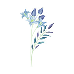 Beautiful blue blooming flowers, trendy color floral design element vector illustration