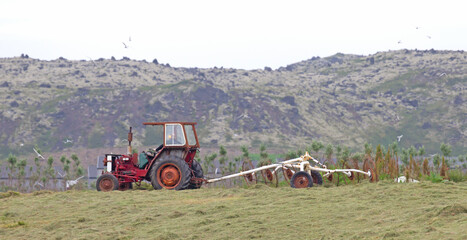Heavily used red old tractor working on the field