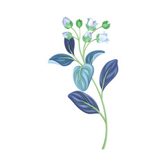 Fototapeta na wymiar Beautiful blue spring flower, trendy color floral design element vector illustration