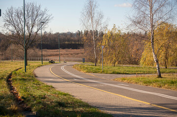 Fototapeta premium road in the autumn