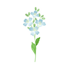 Blue Flower or Delicate Blossom on Leafy Stem Vector Illustration