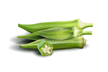 Fresh young okra isolated on white background. Quality realistic vector, 3d illustration