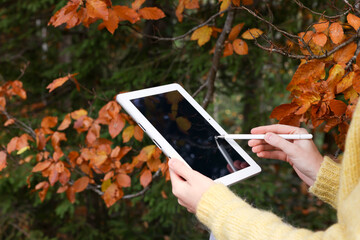Woman drawing with graphic tablet near forest in autumn, closeup