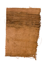 Papyrus isolated on white. Ancient Egypt paper