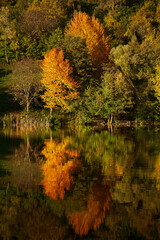 Autumn on the lake with reflection