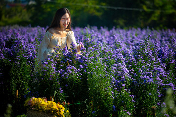 Beautiful asian girl Taking pictures in a flower farm. Happily in Chiang Mai, Thailand