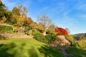 Famous path with public gardens called 'Philosophenweg' in Heidelberg city in Odenwald forest on sunny autumn day - obrazy, fototapety, plakaty