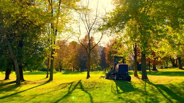 Lawn Mower Machine Cleaning Up the Autumn Leaf on Golf Course with Trees and Sunlight in Switzerland.