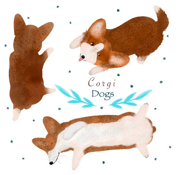 set of funny dogs