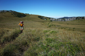 Man tourist hiking on grassy terrain beautiful hilly landscape in Puyehue National Park, Los Lagos...