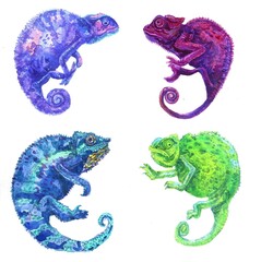 a set of 4 watercolor multicolored chameleons isolated on a white background. Hand-drawn cute and funny reptiles