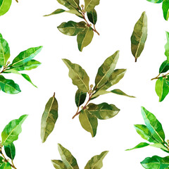 Bay leaves branches watercolor isolated on white background seamless pattern for all prints.