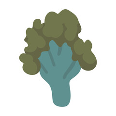 Vector isolated element. Illustration with broccoli. Vegetable. Color image on a white background. The print is used for packaging design.