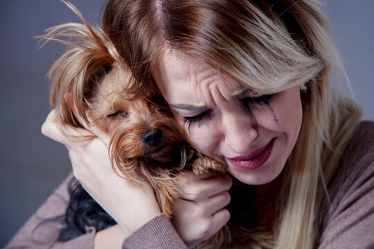 Close up crying woman with small dog. Horizontal image.