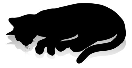 Silhouette Cat Pet Animal