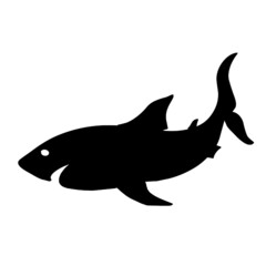 Obraz premium shark 
